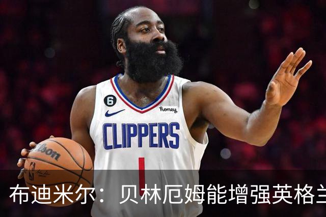 布迪米尔：贝林厄姆能增强英格兰实力 拉什福德总有关键表现
